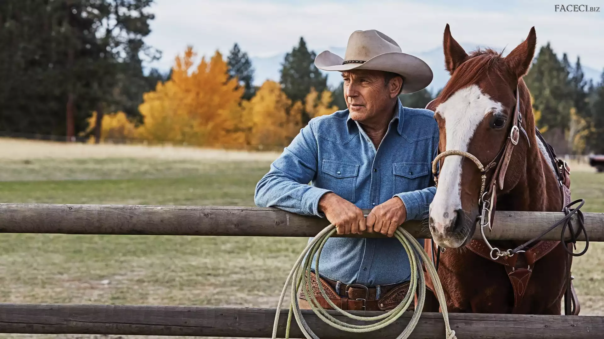 Koń, Aktor, Serial, Yellowstone, Kevin Costner, Kowboj